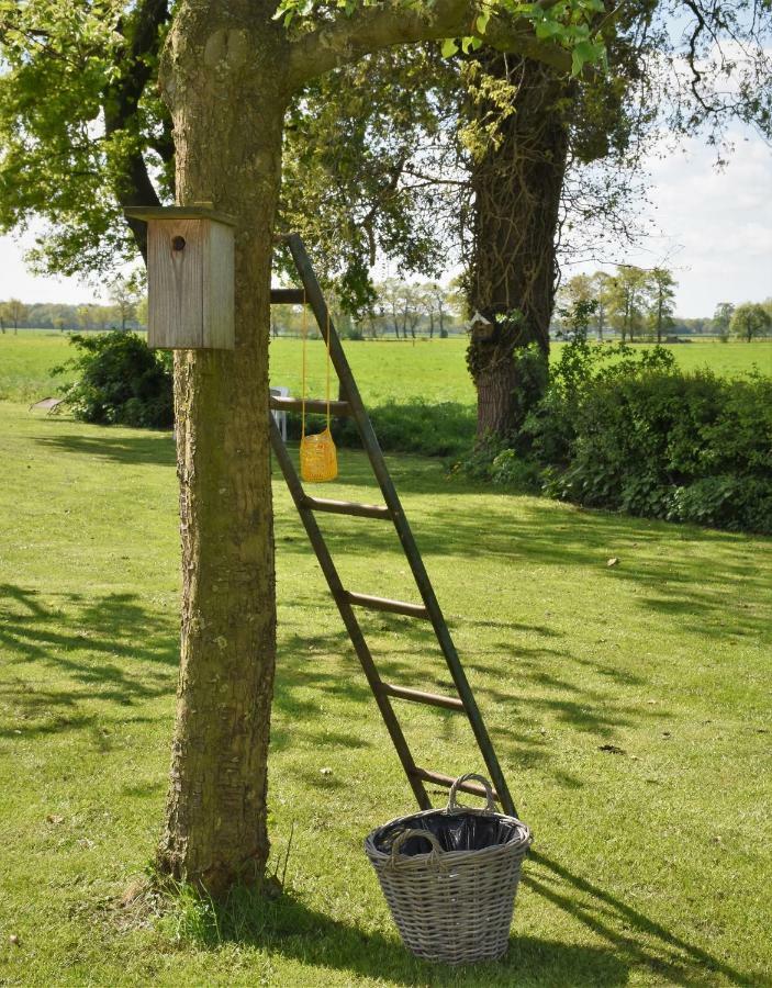 De Beddestee Ruinen Ngoại thất bức ảnh